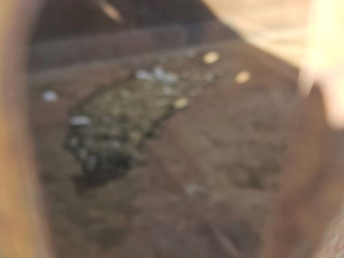 Billede 10 - Lasto 37 m3 Container