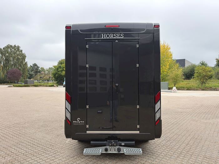 Bild 5 - MAN TGE 3.180 A8 L4 Hestetransporter